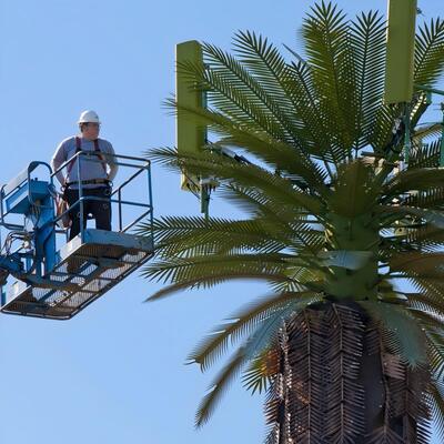 12 18 24एम सामुदायिक बायोनिक ट्री छलावरण गैल्वनाइज्ड आउटडोर 5जी 4जी माइक्रोवेव संचार मस्त