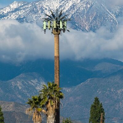 विभिन्न परिदृश्य आवश्यकताओं के अनुरूप ऊंचाई और पेड़ प्रजातियों के लिए बायोनिक ट्री टॉवर अनुकूलन योग्य मॉड्यूलर घटक