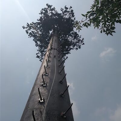 रिज़ॉर्ट होटल लैंडस्केप के लिए 18 27 35 मीटर छलावरण वाला पाम ट्री टेलीकॉम टॉवर