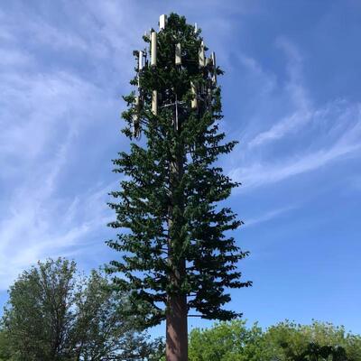 15-45M Tropical Style Bionic Palm Tree Camouflage Communication Tower for Coastal Resort Signal Coverage 30-Year Galvanized Steel Core and UV-Resistant Leaves