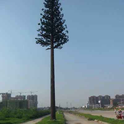 10 20 30 40 50 60 70 80 एम गर्म डुबोया गल्वानाइज्ड छलावरण पोल पाम / पाइन माइक्रो नकली सेल टॉवर पेड़ 10 20 30 40 50 60 70 80 एम