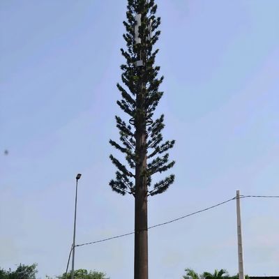 बायोनिक छलावरण सेल टॉवर जीएसएम एंटीना स्टील मोनोपोल दूरसंचार टॉवर गैल्वनाइजेशन