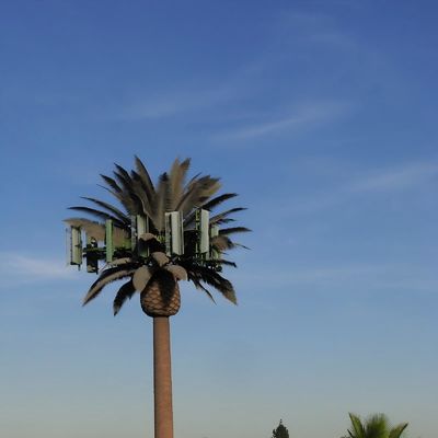 जस्ती स्टील सिंगल ट्यूब बायोनिक छलावरण 5g टावर नारियल का पेड़ दूरसंचार ताड़ का पेड़ पाइन का पेड़