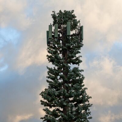 Hot Dip Galvanized Residential Area Bionic Cypress Tree Low-Visual 5G Camouflaged Tower