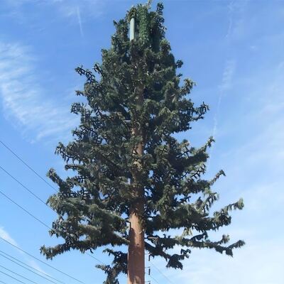 35M Bionic Tree Tower with customizable height and tree species options supporting 5G antennas microwave devices and sensors