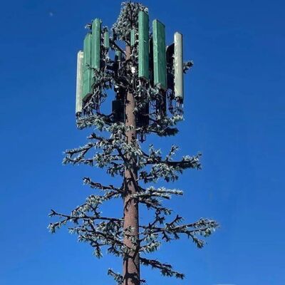 Bionic Tree Tower modular design with customizable tree species and height supporting antenna mounts cable management and renewable energy harvesters