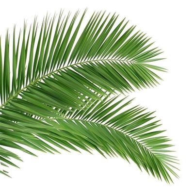 पेड़ जैसी दिखने वाली बायोनिक ट्री टॉवर जिसमें निर्बाध परिदृश्य मिश्रण के लिए फाइबरग्लास शाखाएं और तने हैं