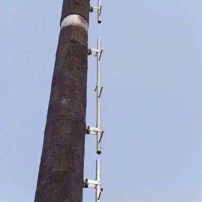 Bionic Tree Tower designed to blend with natural surroundings while supporting critical communication infrastructure