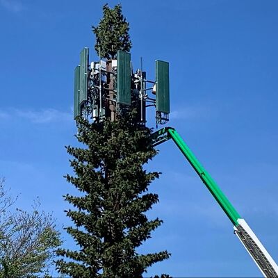 Bionic Tree Tower artificial tree tower impact strength KV 27 joules at various temperatures for structural reliability