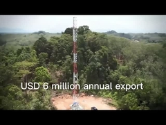 2.3 पैर वाले इस्पात संचार टॉवर