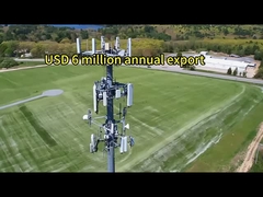 2.. एकाधिकार टॉवर