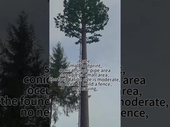 बायोनिक ट्री टॉवर